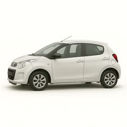 C1 2005–2014 (Mk1, Typ PM/PN)