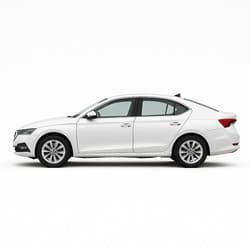 Octavia 2019+ (Mk4, Typ NX, A8)