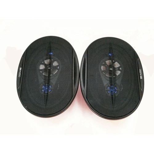 BOSCHMANN BM WJ1-S99V 6x9