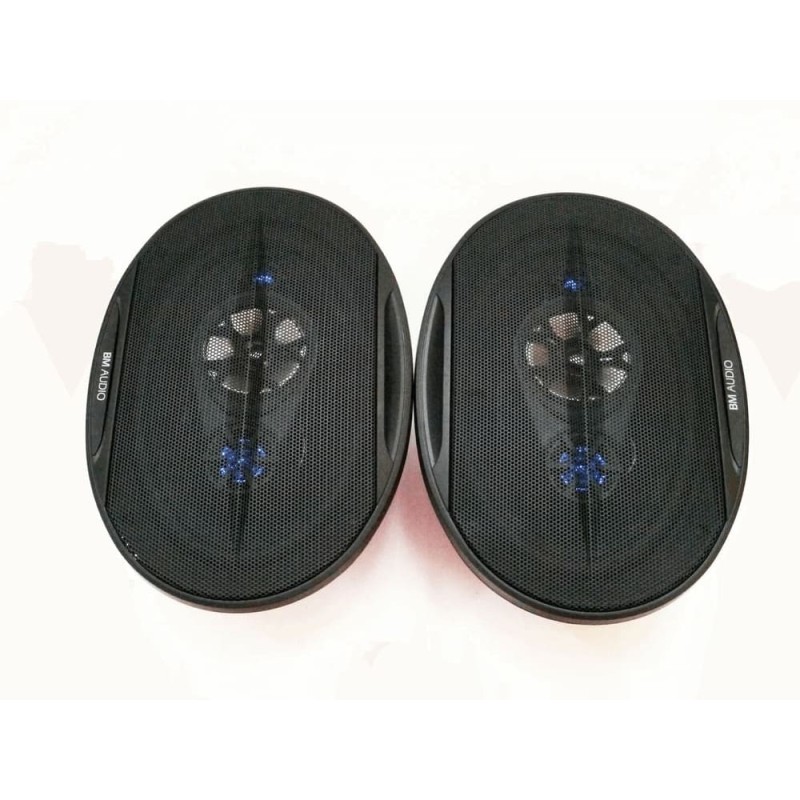 BOSCHMANN BM WJ1-S99V 6x9