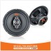 SP-6.5C / 150 W-300W RMS